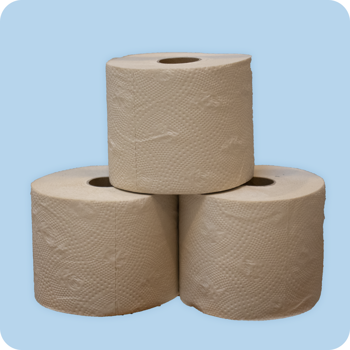Premium Bamboo Toilet Paper 36 Pack - Image 3